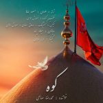 Kooh Mohammad Reza Salehi